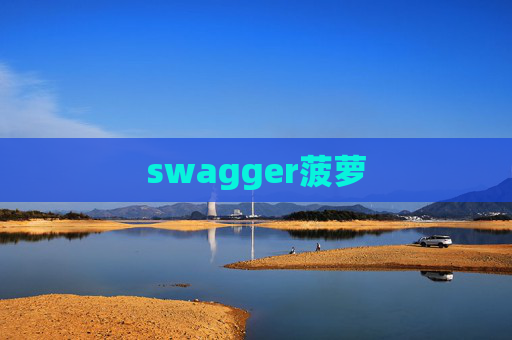 swagger菠萝 swagger菠萝